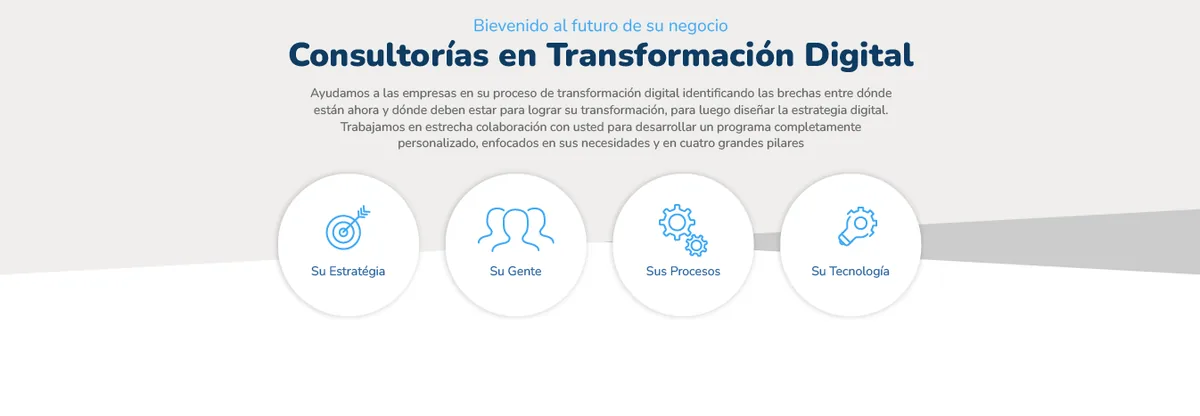 Los cuatro pilares: Su Estrategia, Su Gente, Sus Procesos, Su Tecnología