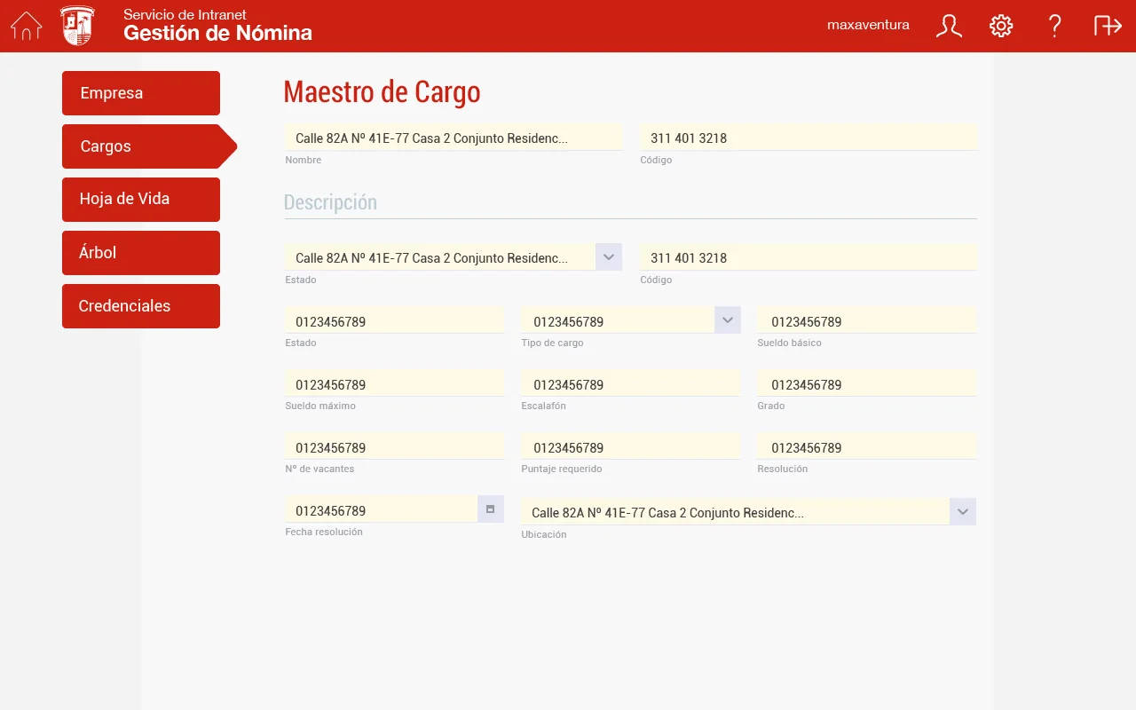 Maestro de cargo, pestaña de datos generales