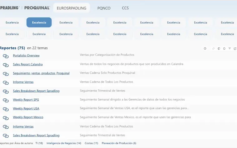 Reportes BI — Spradling