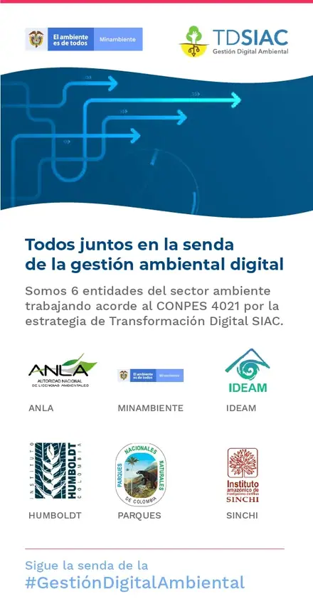 seis entidades sector